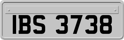 IBS3738