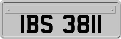 IBS3811