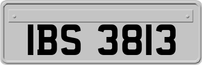 IBS3813