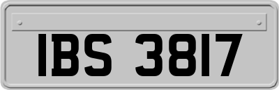 IBS3817
