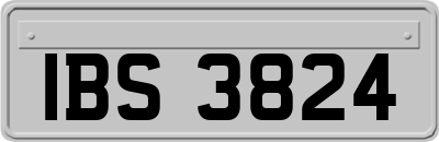 IBS3824
