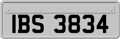 IBS3834