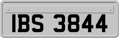 IBS3844