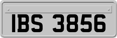 IBS3856