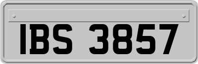 IBS3857