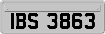 IBS3863