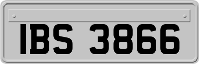IBS3866
