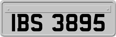 IBS3895