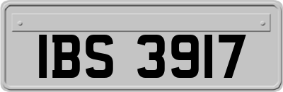 IBS3917