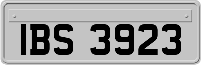 IBS3923