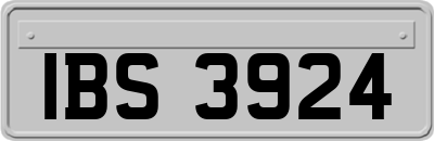 IBS3924