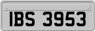 IBS3953