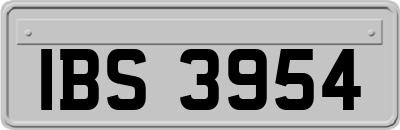 IBS3954