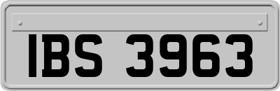IBS3963