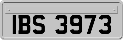 IBS3973