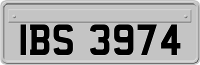 IBS3974