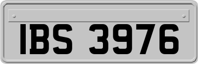 IBS3976