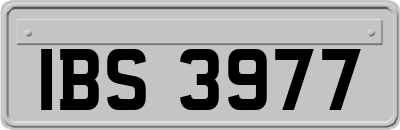 IBS3977
