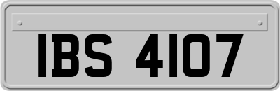 IBS4107