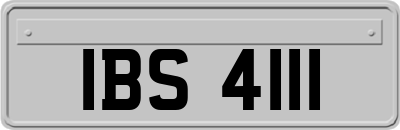 IBS4111
