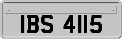 IBS4115
