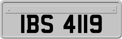 IBS4119