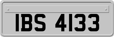 IBS4133