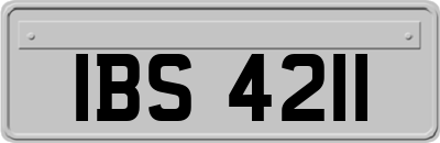 IBS4211