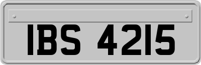 IBS4215