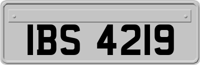 IBS4219