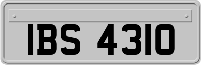 IBS4310