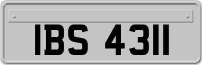 IBS4311