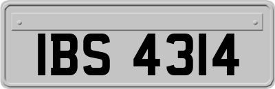 IBS4314