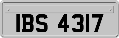IBS4317