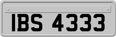 IBS4333