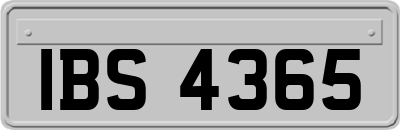 IBS4365