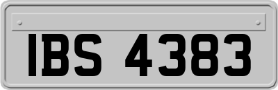 IBS4383