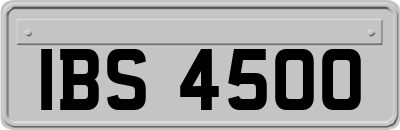 IBS4500