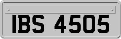 IBS4505