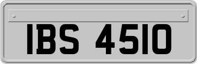 IBS4510