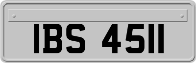 IBS4511
