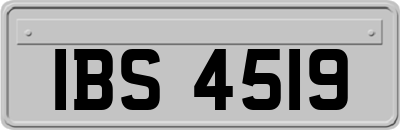 IBS4519