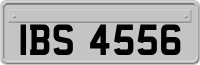 IBS4556