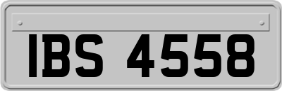 IBS4558