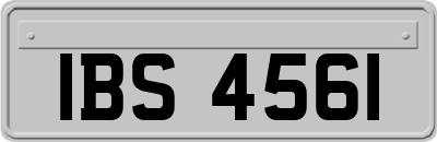 IBS4561