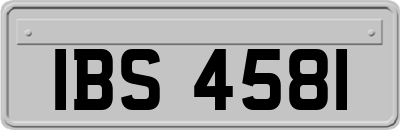 IBS4581