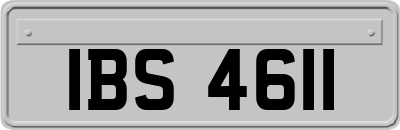 IBS4611