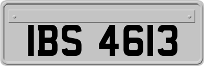 IBS4613