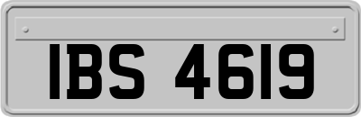 IBS4619