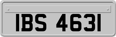 IBS4631